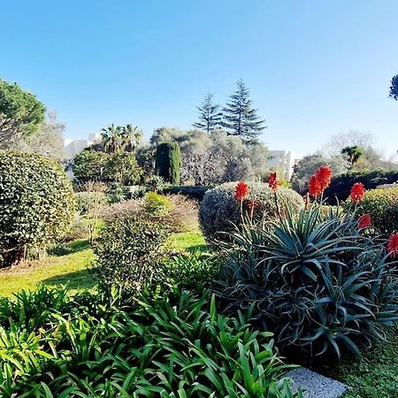 Studio Antibes Avec Piscine Exteriér fotografie
