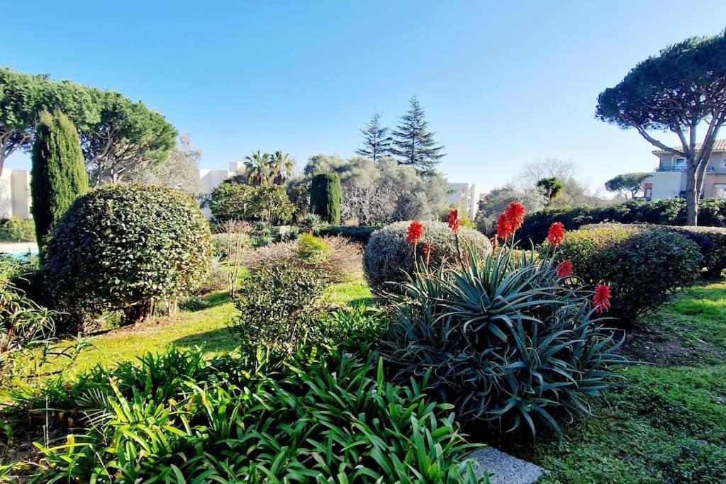 Studio Antibes Avec Piscine Exteriér fotografie